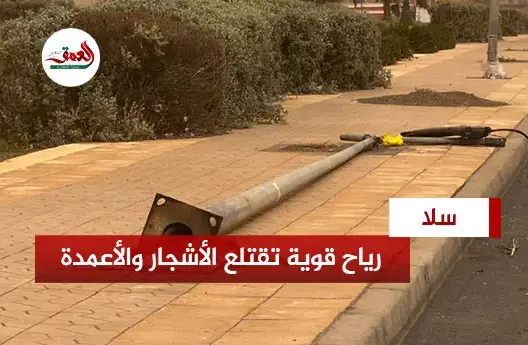 رياح قوية تقتلع أعمدة وأشجار بسلا