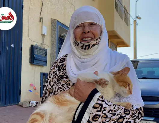 تأوي قطط الشارع.. مسنة بالبحراوي تشكو مضايقات وتوجه نداء لجمعيات الرفق بالحيوان
