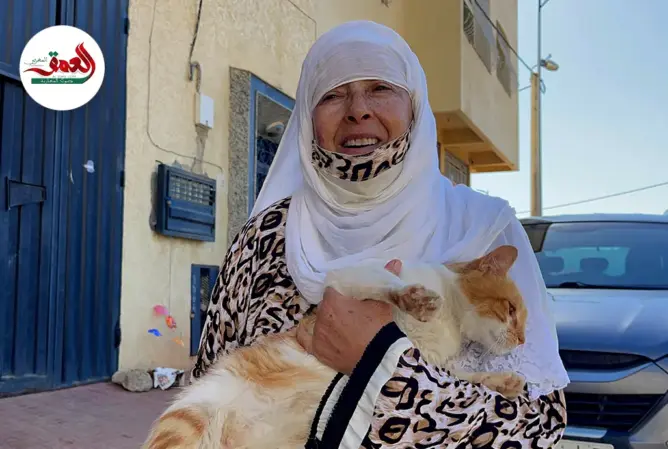 تأوي قطط الشارع.. مسنة بالبحراوي تشكو مضايقات وتوجه نداء لجمعيات الرفق بالحيوان