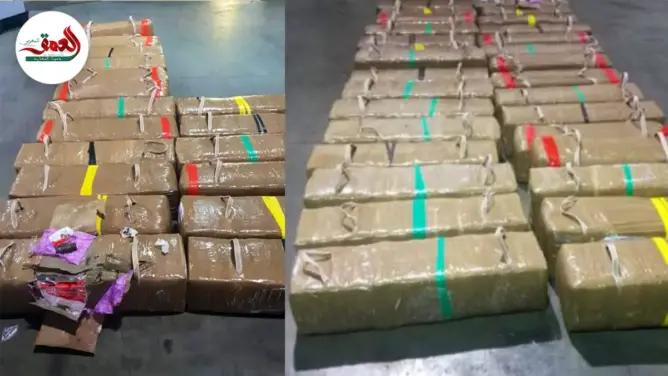 إحباط تهريب 1.4 طن من المخدرات بميناء طنجة المتوسط (صور)