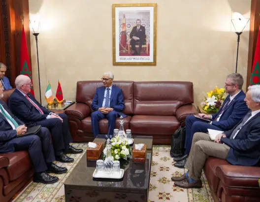 الطالبي العلمي يجري مباحثات مع رئيس لجنة الخارجية ببرلمان أيرلندا