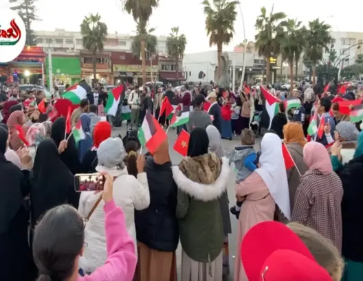 جديديون يستنكرون الإبادة الجماعية بغزة