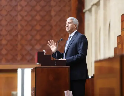 المغرب يقضي على 519 خنزيرا في 2023
