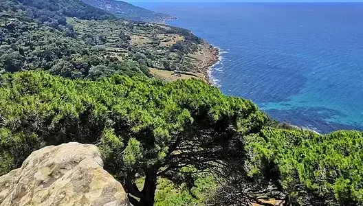 أشغال بناء بغابة “الرميلات” بطنجة..”الشباب الأخضر” يكشف طبيعة المشروع ويتشبت بحماية الغطاء الغابوي