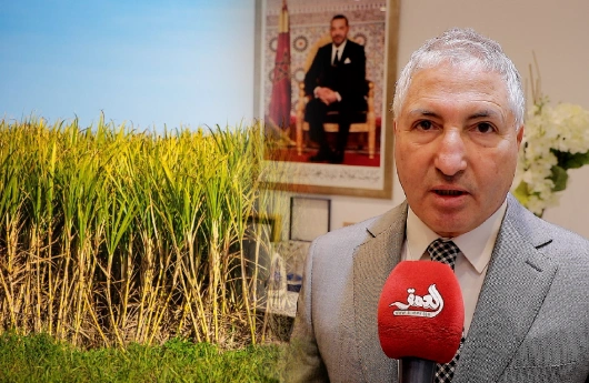 «فيمسكر» تحصل على دعم مالي إضافي لفائدة فلاحي سلسلة السكر بالمغرب (فيديو)