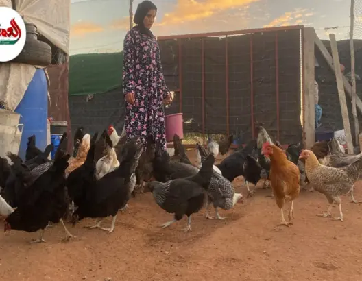 بعد فيديو “العمق”.. أستاذة سيدي بنور تكشف مستجدات مشروع تربية الدجاج