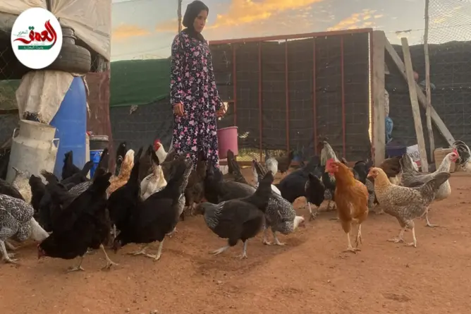بعد فيديو “العمق”.. أستاذة سيدي بنور تكشف مستجدات مشروع تربية الدجاج