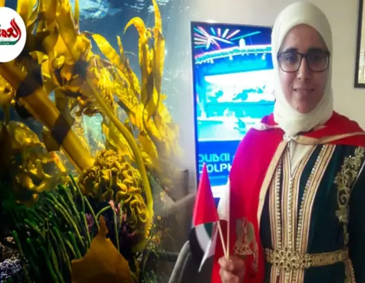 حولت طحالب البحر إلى مواد عضوية.. أستاذة تفوز بجائزة الشيخ زايد بالإمارات