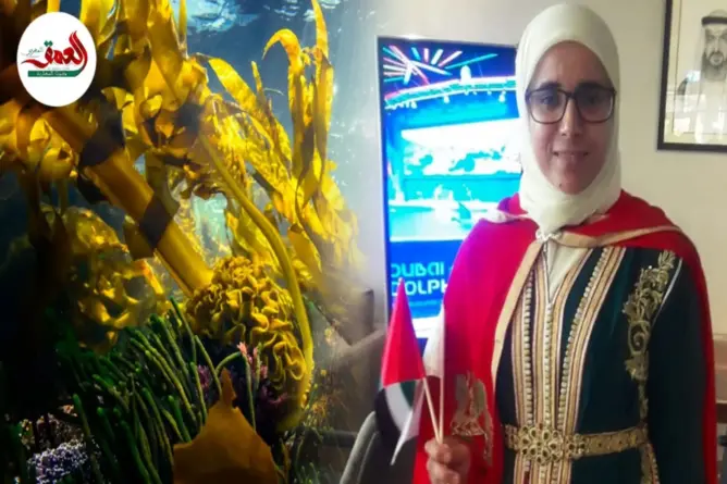 حولت طحالب البحر إلى مواد عضوية.. أستاذة تفوز بجائزة الشيخ زايد بالإمارات