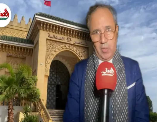 الصوفي: محاكمة “بيدوفيل الجديدة” عادلة ويجب تجاوز ثقافة “العار”
