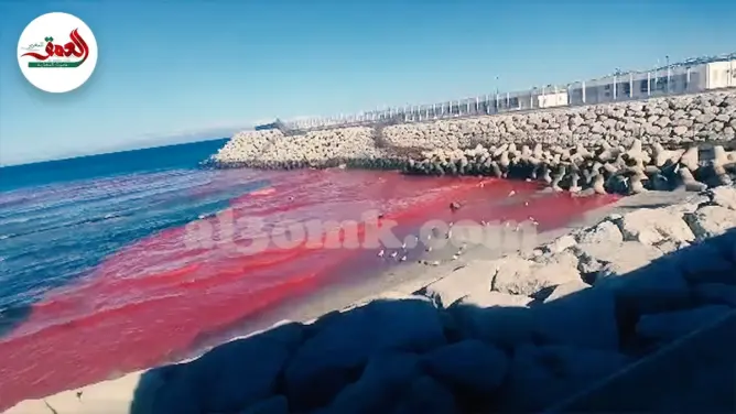 استنفار بشاطئ مرقالة بطنجة بعد تسرب مادة كيمائية إلى البحر (فيديو)