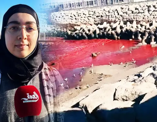 حركة الشباب الأخضر والبحر الدموي