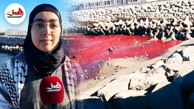 حركة الشباب الأخضر والبحر الدموي