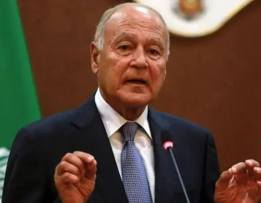 أبو الغيط: رئاسة المغرب لمجلس حقوق الإنسان اعتراف دولي بجهوده في المجال