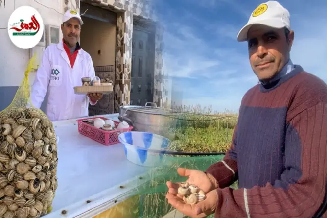 مواطن يقرر تربية الحلزون البري لمواجهة خطر انقراضه من الطبيعة