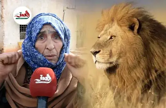 ساكنة آيت رحو بخنيفرة: الأسد موجود فعلا ونعيش الرعب