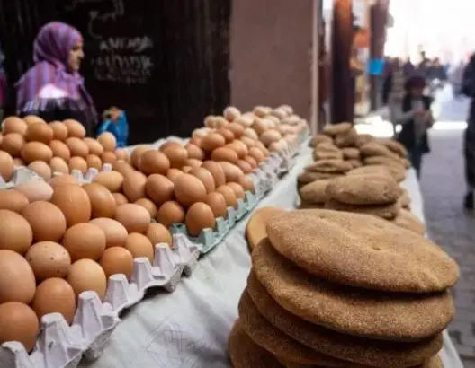 سعر البيض يلامس درهمين.. مهني يفسر وتحذيرات من التلاعب في الإنتاج