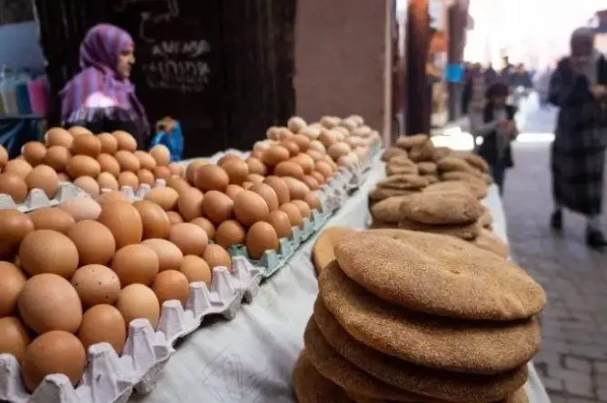 سعر البيض يلامس درهمين.. مهني يفسر وتحذيرات من التلاعب في الإنتاج