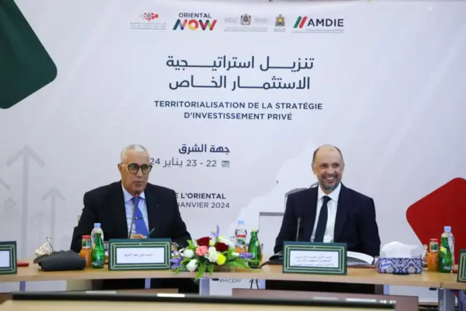 الاستراتيجية الوطنية لتنمية الاستثمار.. الجزولي يسلط الضوء على مكانة جهة الشرق