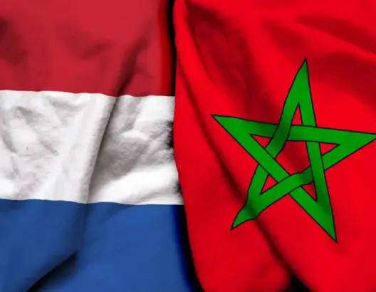 هولندا ترحب بالتعاون مع المغرب في مجال الهجرة وتستعد لترحيل 700 طالب لجوء