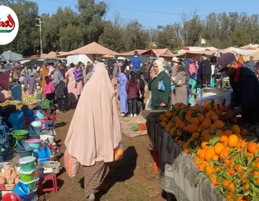 سوق أسبوعي جديد بأزمور ينعش الباعة والساكنة