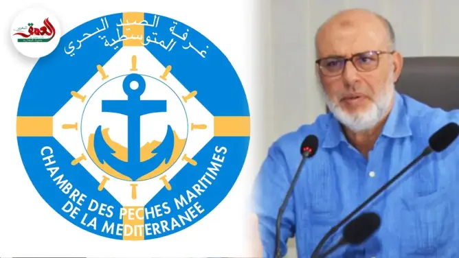 بسبب عدم الأهلية.. المحكمة الإدارية تلغي انتخاب بنجلون على رأس غرفة الصيد البحري بالشمال