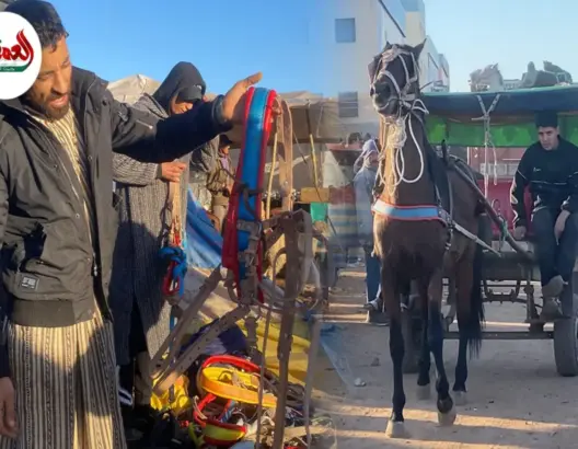 معاناة بعد قرار منع العربات المتجولة بالبيضاء