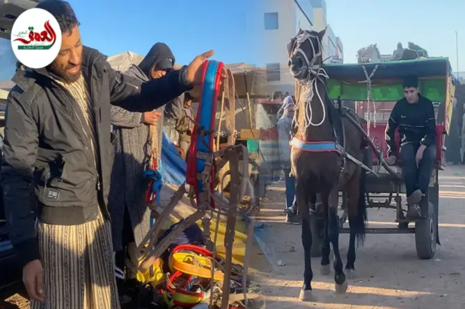 معاناة بعد قرار منع العربات المتجولة بالبيضاء