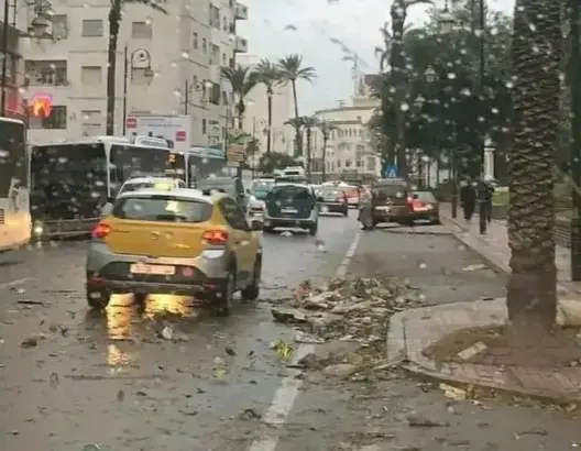 نشرة إنذارية.. رياح قوية وتطاير للغبار بعدد من أقاليم المملكة