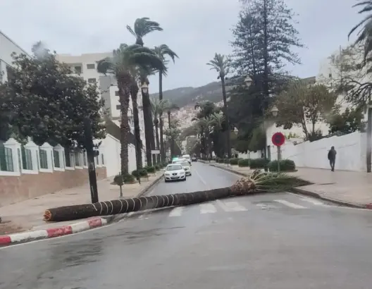هبوب رياح قوية.. وزارة التجهيز والماء تهيب بمستعملي الطرق توخي المزيد من الحيطة والحذر