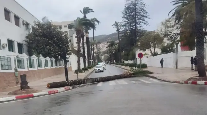 هبوب رياح قوية.. وزارة التجهيز والماء تهيب بمستعملي الطرق توخي المزيد من الحيطة والحذر