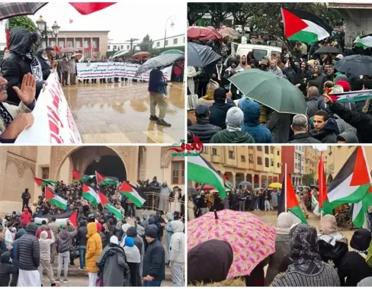 تحت الأمطار.. أزيد من مائة مظاهرة بالمغرب في يوم واحد دعما لغزة واستعدادات لمسيرة حاشدة بالرباط
