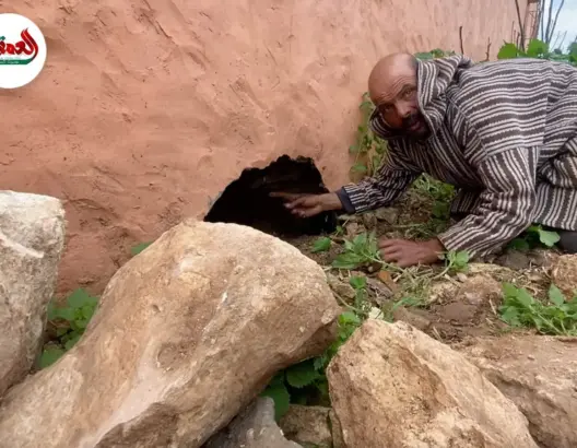 لصوص خارج السجن رغم سرقة 28 مليون من كساب