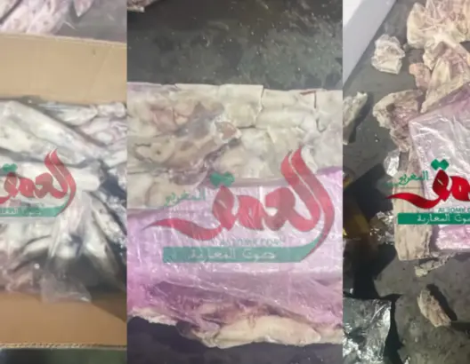 إحباط تهريب أطنان من المخدرات محشوة داخل “الكلامار” بميناء طنجة المتوسط (صور)