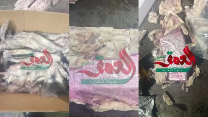 إحباط تهريب أطنان من المخدرات محشوة داخل “الكلامار” بميناء طنجة المتوسط (صور)