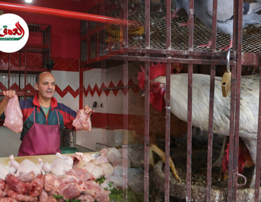 أسعار الدجاج قبيل رمضان.. بائعون يكشفون الأسعار ويطالبون الجهات المعنية بالتدخل