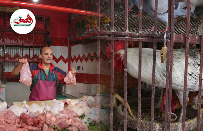أسعار الدجاج قبيل رمضان.. بائعون يكشفون الأسعار ويطالبون الجهات المعنية بالتدخل