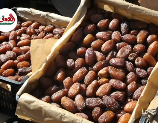 بائعو الثمور بمراكش يكشفون أثمنة وأنواع هذه المادة الأساسية قبل حلول شهر رمضان
