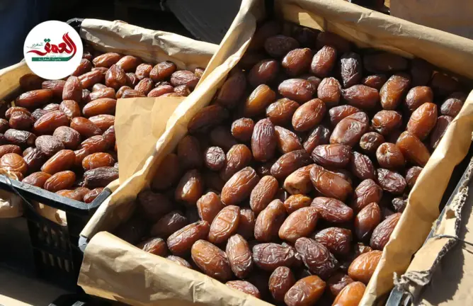 بائعو الثمور بمراكش يكشفون أثمنة وأنواع هذه المادة الأساسية قبل حلول شهر رمضان