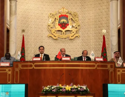 ميارة: المغرب جعل من التعاون جنوب-جنوب رافعة استراتيجية لسياسته الخارجية (فيديو)