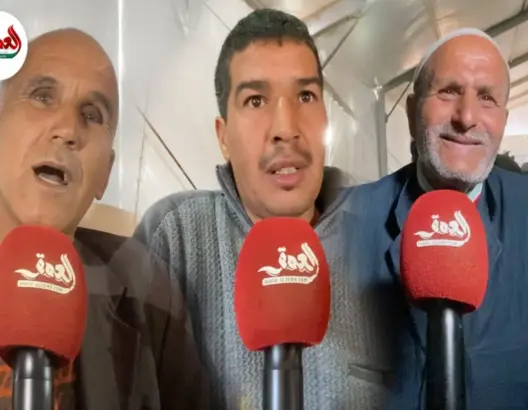 تأثير ندرة المياه على أسعار المواشي