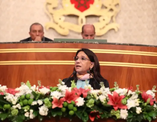 بوعياش: إرساء دولة القانون رهين بضمان حقوق وحريات المواطنين