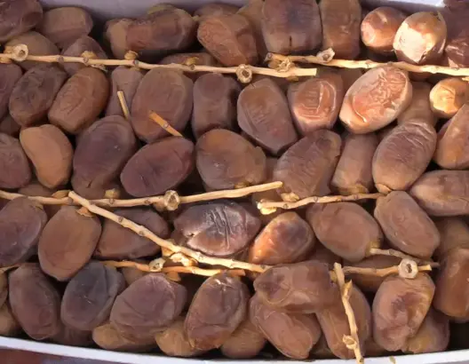 وفرة المنتوج تهوي بأسعار التمور قبيل رمضان.. وهذه الأنواع الأكثر عرضا (فيديو)
