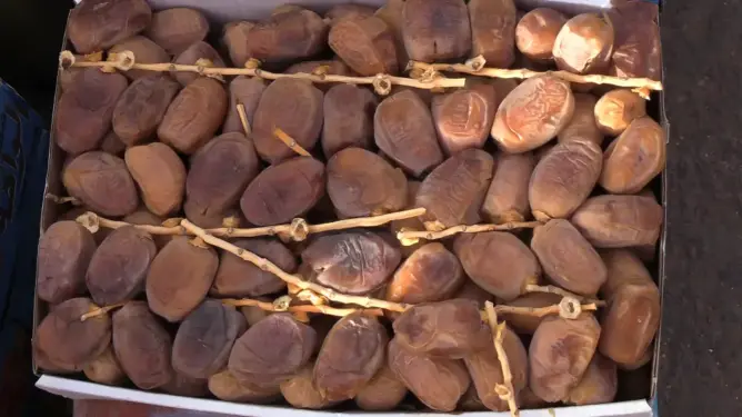 وفرة المنتوج تهوي بأسعار التمور قبيل رمضان.. وهذه الأنواع الأكثر عرضا (فيديو)