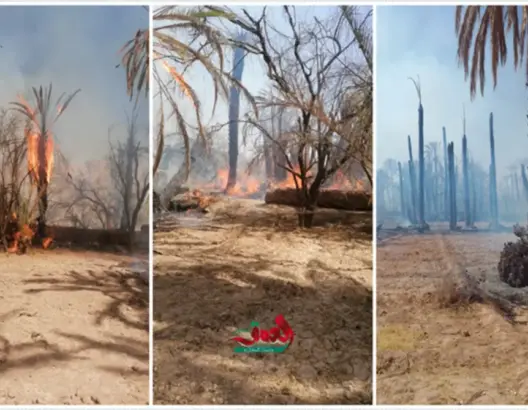 حريق يلتهم المئات من أشجار النخيل نواحي زاكورة والوقاية المدنية تسيطر عليه