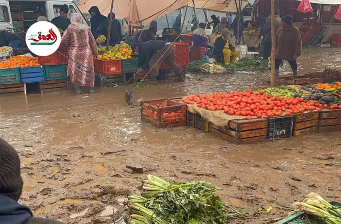 الأمطار تُدخل البهجة على فلاحي البراشوة
