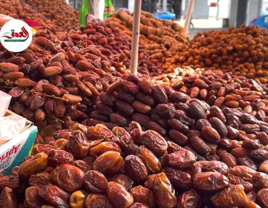 التمور الجزائرية والتونسية تغزو الأسواق المغربية