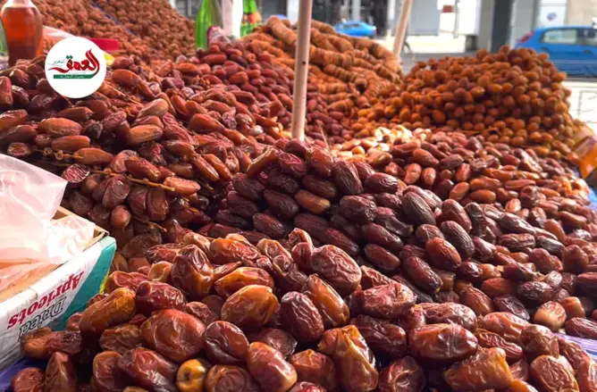 التمور الجزائرية والتونسية تغزو الأسواق المغربية