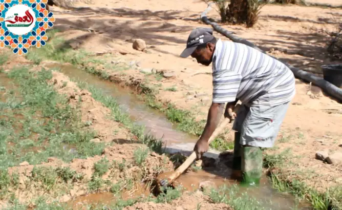 فلاحو واحة درعة يقاومون الجفاف ونضوب الآبار