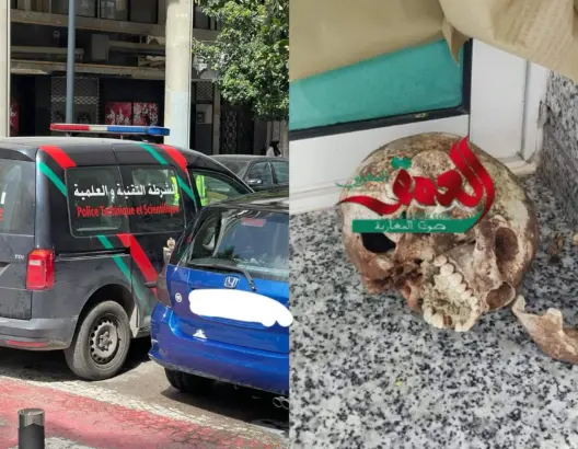 العثور على جمجة آدمية بوسط المدينة يستنفر أمن طنجة (صورة)